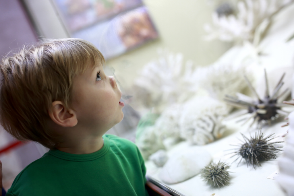 boy with nose pressed against glass on museum display